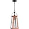 Quoizel Carolina Outdoor Hanging 1 Light Aged Copper CLN1907AC - alternate 1